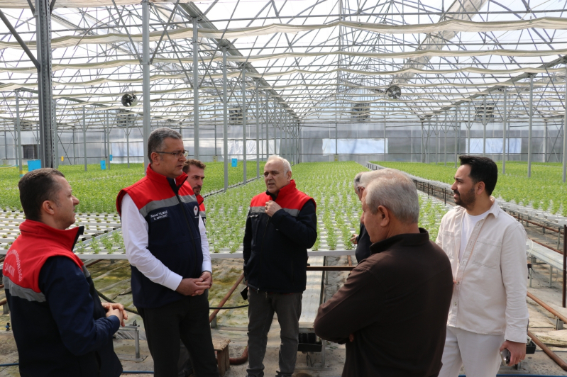 Samsun’da Su Kültürü ile Maydanoz Veriminde Rekor Artış