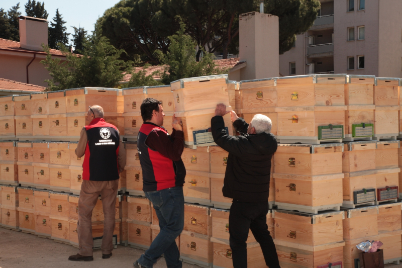 Çanakkale’de yangından etkilenen arıcılara kovan desteği