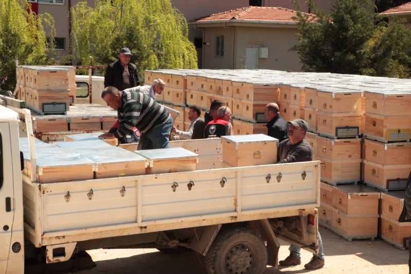 Çanakkale’de yangından etkilenen arıcılara kovan desteği