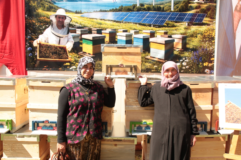 Çanakkale’de yangından etkilenen arıcılara kovan desteği