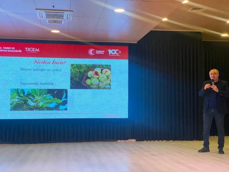 44 Günde 12 İlçe: Aydın İnciri İçin Dev Eğitim Seferberliği