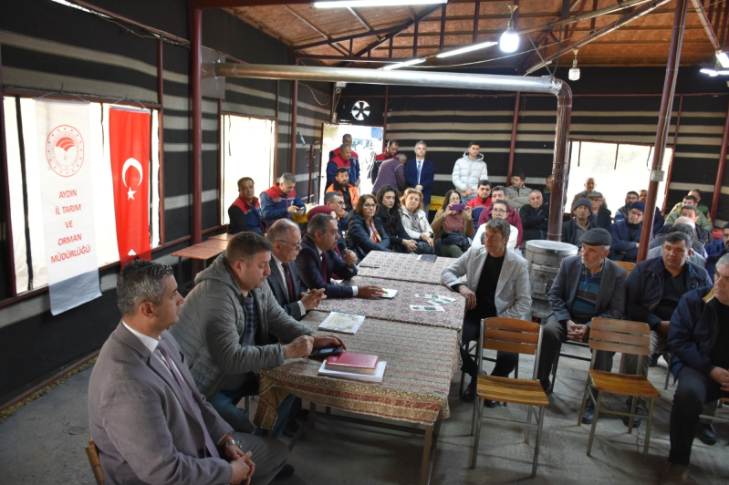 44 Günde 12 İlçe: Aydın İnciri İçin Dev Eğitim Seferberliği