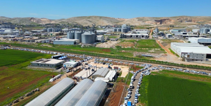 Şanlıurfa Büyükşehir 1 Milyon Fideyi Ücretsiz Dağıttı