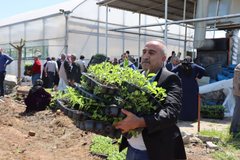 Şanlıurfa Büyükşehir 1 Milyon Fideyi Ücretsiz Dağıttı