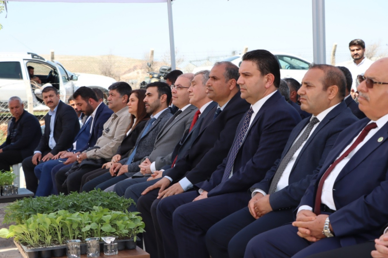 Şanlıurfa Büyükşehir 1 Milyon Fideyi Ücretsiz Dağıttı