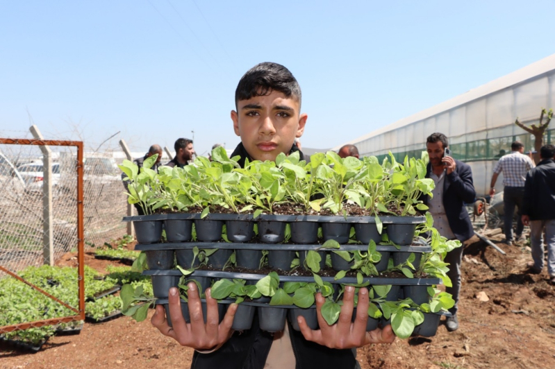 Şanlıurfa Büyükşehir 1 Milyon Fideyi Ücretsiz Dağıttı