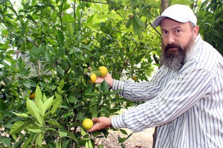 Bu Ağacı Görenler Gözlerine İnanamıyor