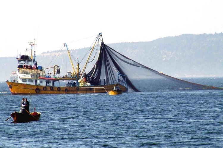 Fakıbaba Müjdeyi Verdi, 1000 TL'ye Kadar Ödeme Yapılacak