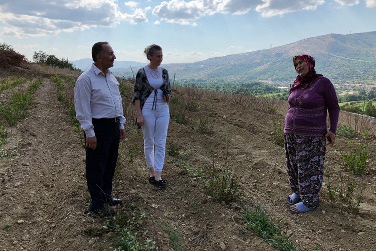 Kadın Çiftçiler Aronya Bitkisi Yetiştiriciliği İle Bir İlki Başaracak