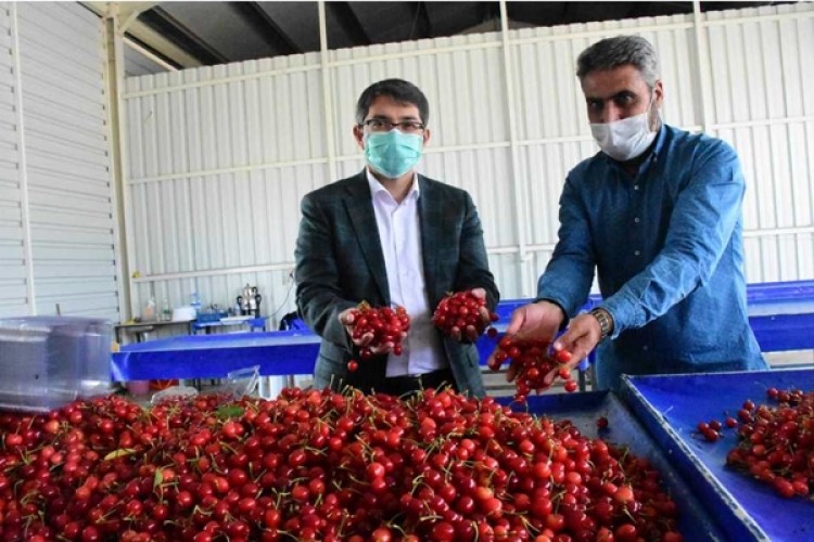 Başkan Çelik 'Her Zaman Üreticilerimizin Yanındayız'