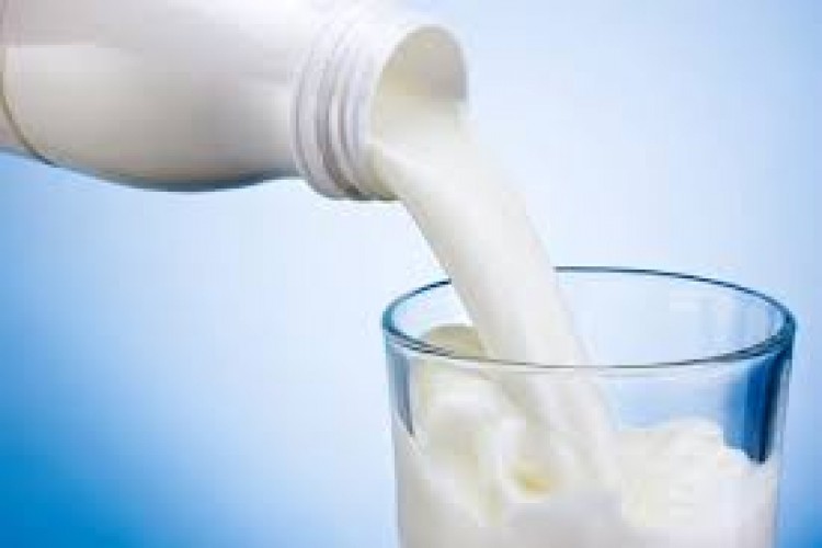 Toplanan İnek Sütü Miktarı Düşmeye Devam Ediyor