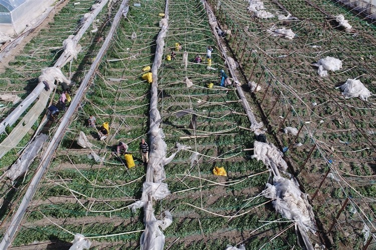 Bayraktar: Tarım Sigortaları Uygulamaları Gözden Geçirilmeli