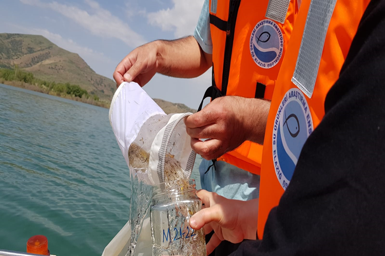 Hazar Gölünün Mikroplastik Kirliliğinin Belirlenmesi Çalışması Başlatıldı