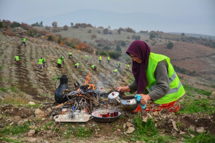 Son 17 Yılda Orman Köylüsüne 2,8 Milyar Liralık Destek