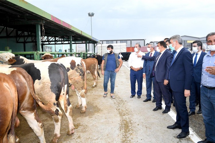 Hayvan pazarı kesimhanelerinde monoray sistemine geçildi