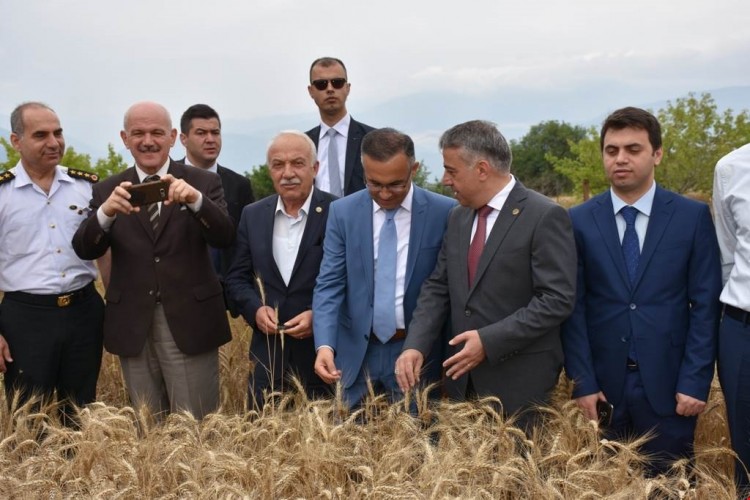 Anıza Doğrudan Ekimle Dekara 1 Litre Mazot Harcandı