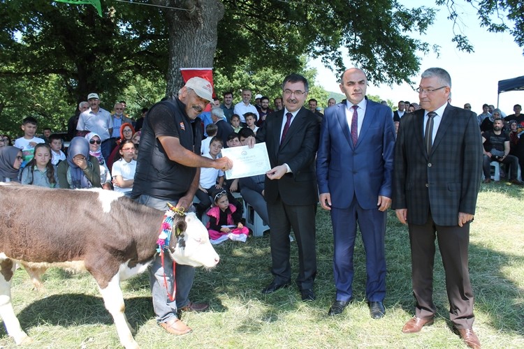 Islah Edilen Cumayeri İlçesi Avlayan Köyü Merası Açıldı