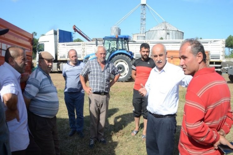 Ayçiçeği Üreticileri Fiyatlardan Memnun Değil