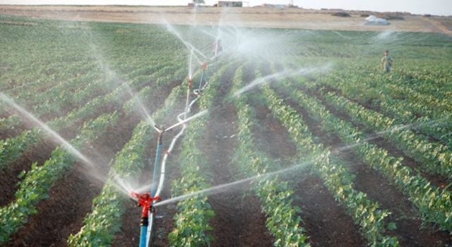 2021 Bütçesinde tarım ve sulamaya ayrılan kaynak 57,5 milyar lira