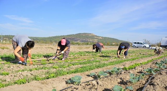 Aliağalı Kadınlardan Doğal Tarım Atağı