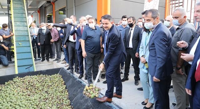 Bakan Pakdemirli: Türkiye, 250 Bin Tonluk Ceviz Üretimiyle Dünyada Dördüncü Sırada