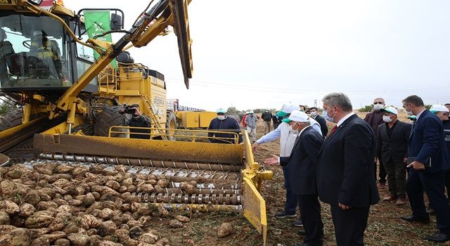 Başkan Büyükkılıç, Tuzhisar'da Pancar Söküm Programına Katıldı