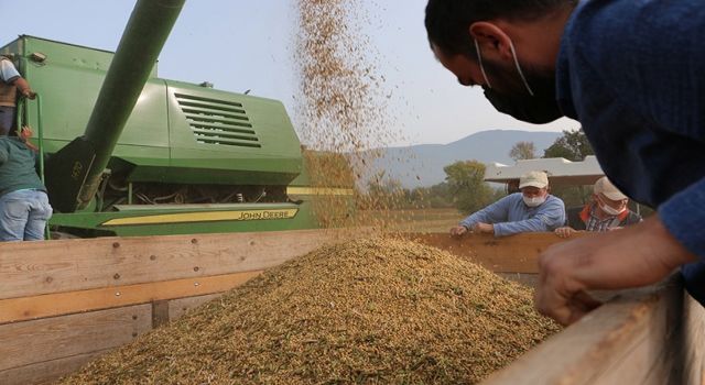 Bolu’da Soya Üreticiye Umut, Endüstriye Işık Oluyor