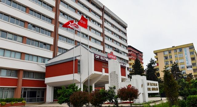 ÇAYKUR, yaş çay ödemelerine yarın başlıyor