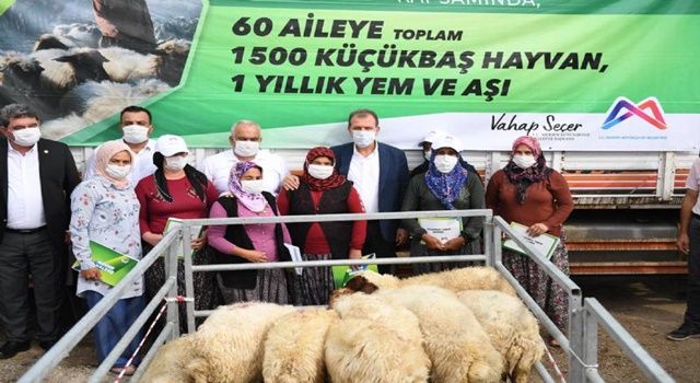 Erdemli ve Silifkeli Üreticiler de Küçükbaş Hayvanlarına Kavuştu