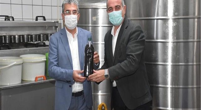 Gemlikli Zeytin Üreticisine de İBB’den Destek