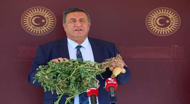 Gürer: “Patates üreticisi ortada kaldı”