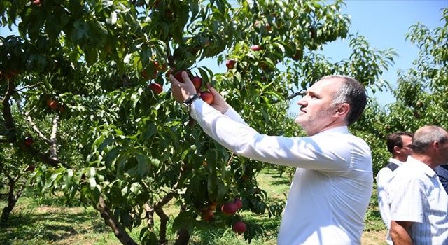 İnegöl Tarımı Şahlanıyor