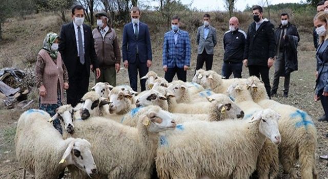 Koyunları kurt saldırısında telef olan aileyi Bakan Pakdemirli sevindirdi