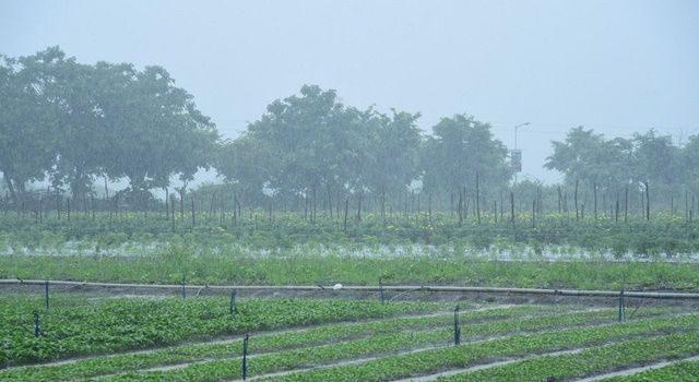 Meteoroloji Uyardı! Bu İllerde Yaşayanlar Dikkat