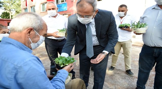 Tarsus Belediyesi Gen Bankasında Ata Tohumu Sayısı 20 Milyona Ulaştı