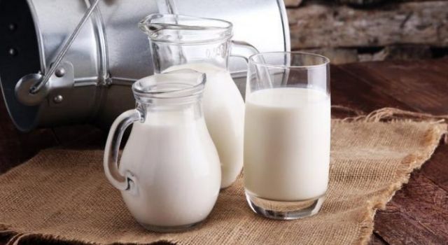 Toplanan İnek Sütü Miktarı Yüzde 5 Arttı