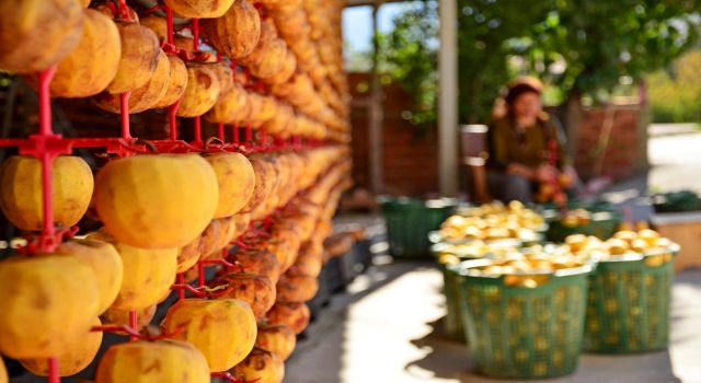 Trabzon Hurması Sofraları Süslemeye Başladı