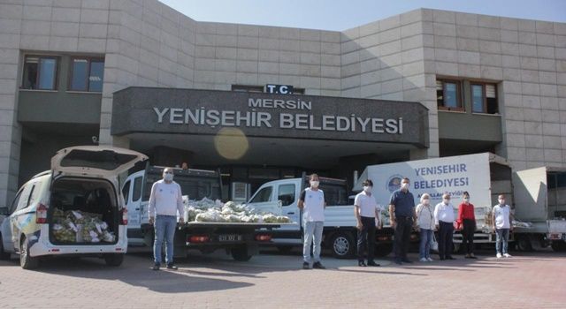 Yenişehir Belediyesi 20 ton narenciye dağıttı