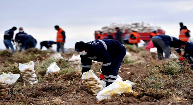 Ankara’nın Kırsal Kalkınma hamlesi sürüyor