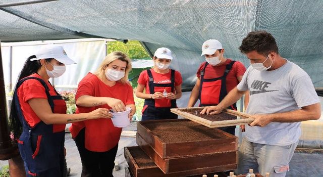 Atakum Belediyesi AtaTohum ile Karadeniz’e öncülük ediyor