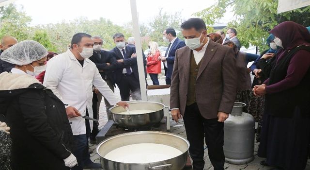 Atakum Belediyesi kırsalda üretilen doğal peyniri büyük şehirlere taşıyacak