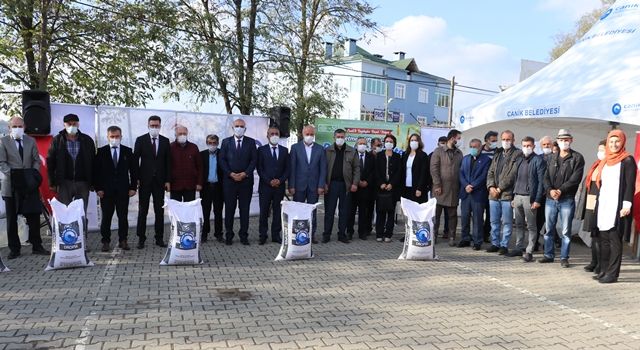 Canik’te Üreticilere Sertifikalı Buğday Tohumu Dağıtıldı