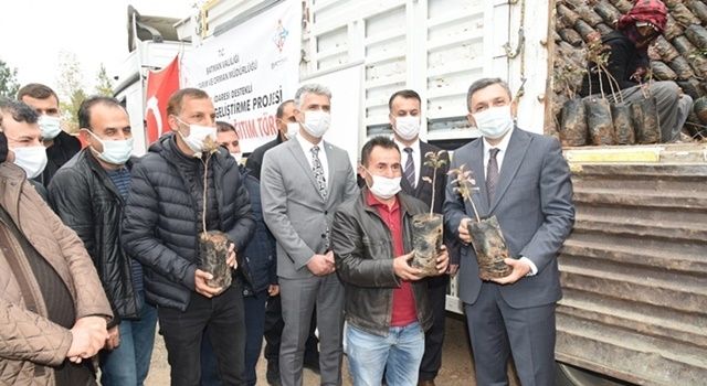 Çiftçilere 200 Bin Adet Siirt Fıstığı Fidanı Dağıtımı Yapıldı