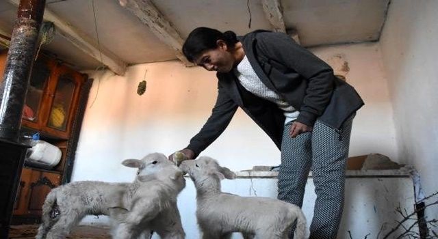 Devlet desteği hayatını değiştirdi, köy kadınlarına örnek oldu