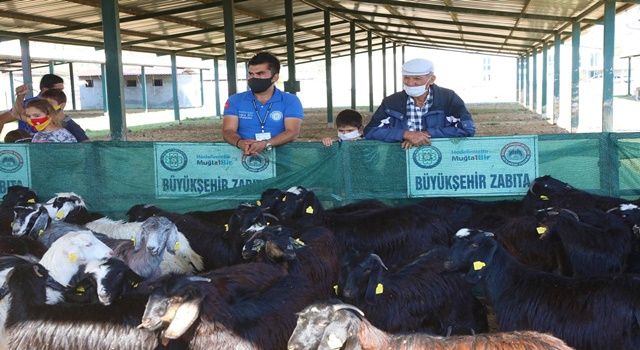 Kırsal Kalkınma İçin Kadın Üreticilere Kıl Keçisi Desteği