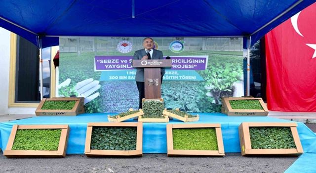 Ordu'da üreticilere 300 bin adet salep fidesi dağıtıldı