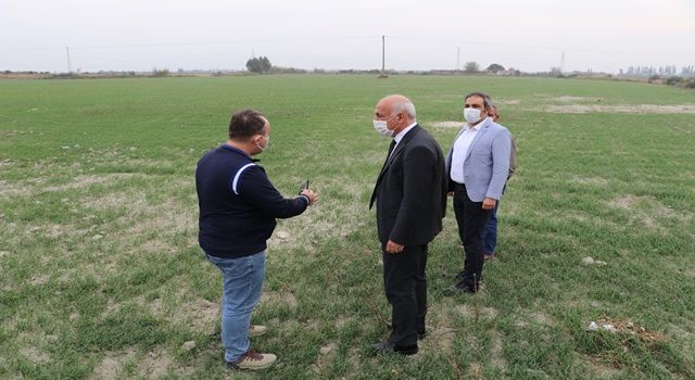 Söke Belediyesi buğday üretip, elde edilen unu vatandaşına dağıtacak