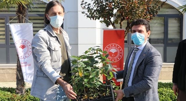 Yalova’lı Çiftçilere 5 Bin100 Adet Aronya Fidanı Dağıtıldı