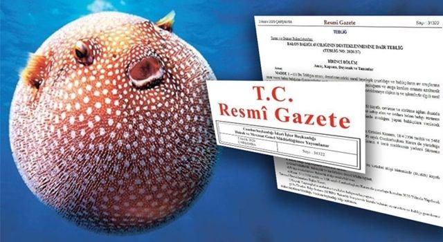 Bakan Pakdemirli: “Balon Balığı Avcılığını Destekleme Kapsamına Aldık”