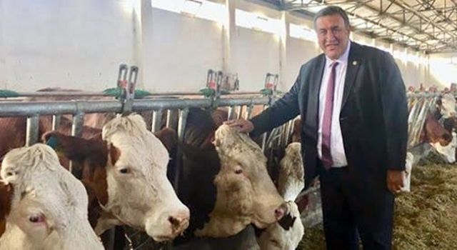 Gürer: “Süt üreticisi yine sırtından vuruldu”